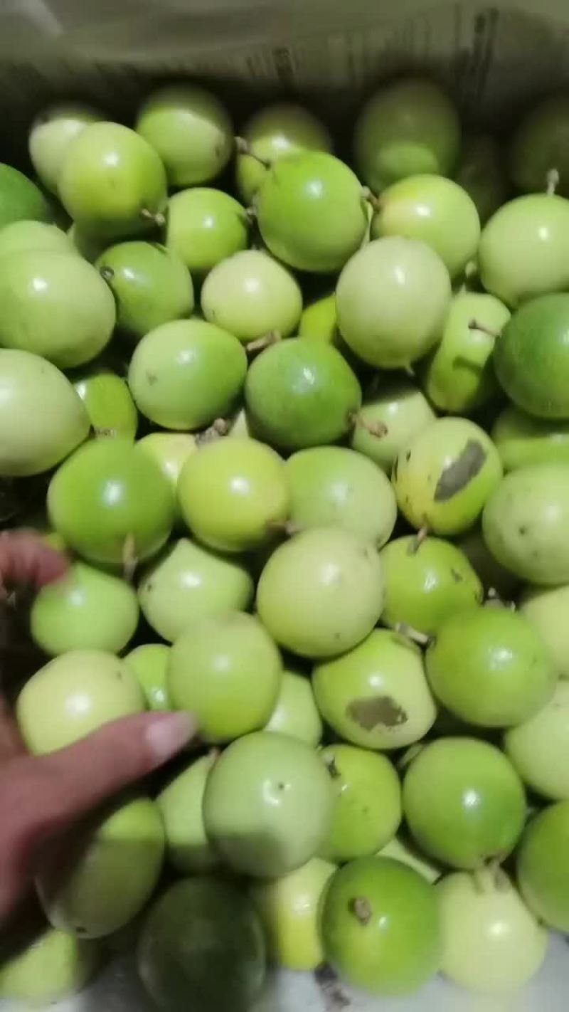 百香果