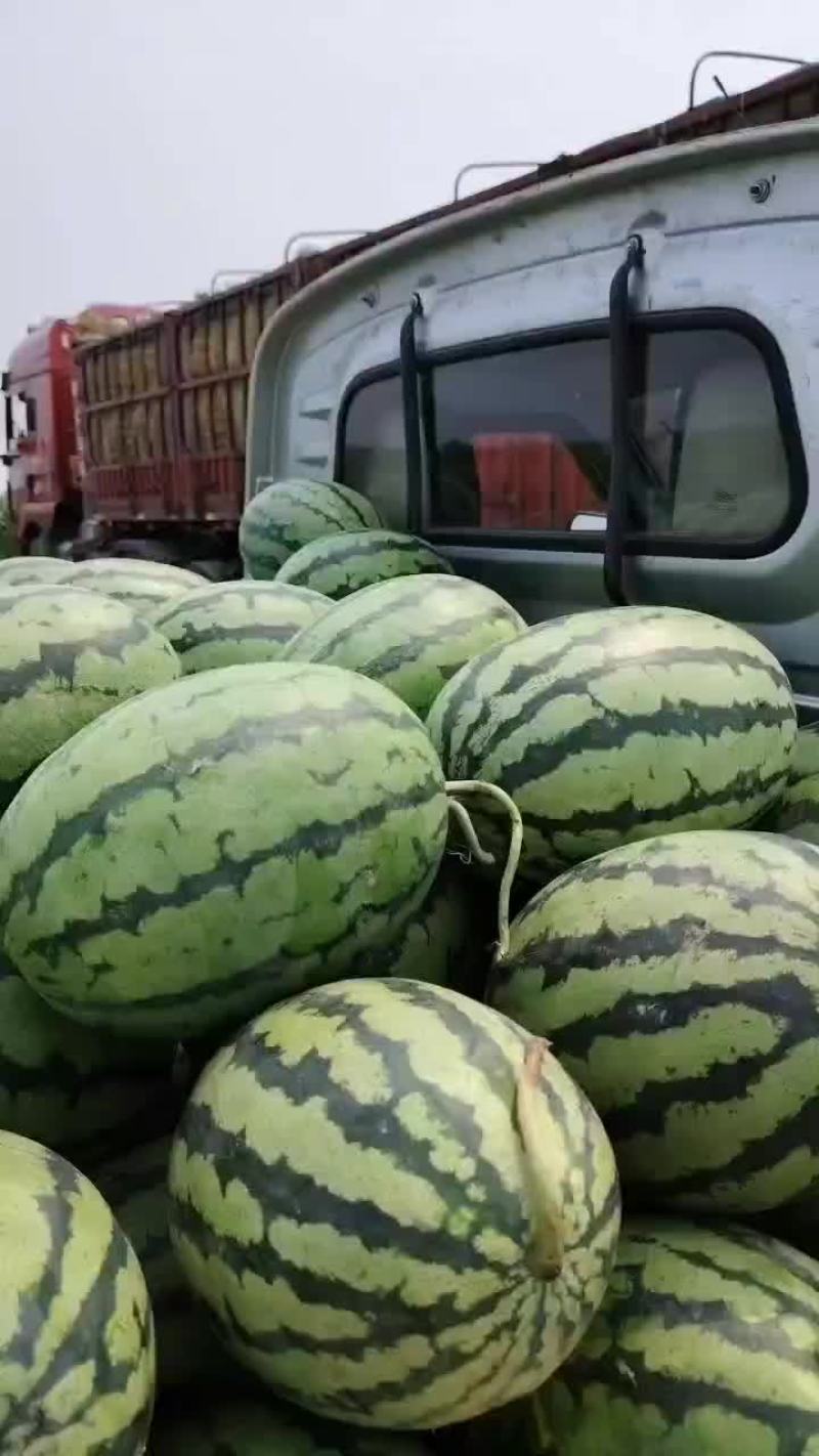 西瓜