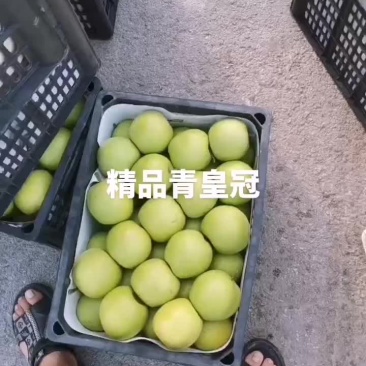 精品皇冠梨