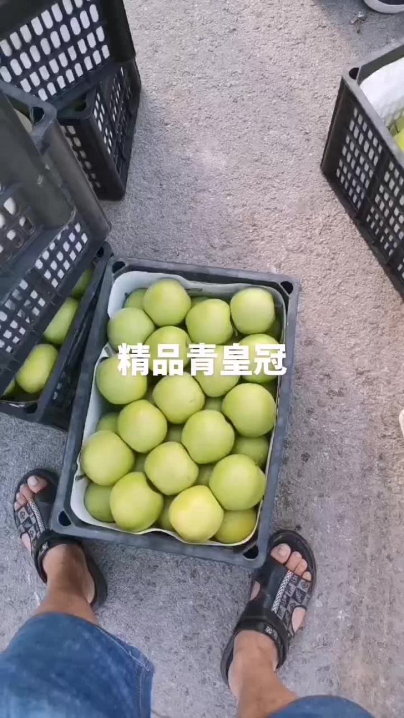 精品皇冠梨