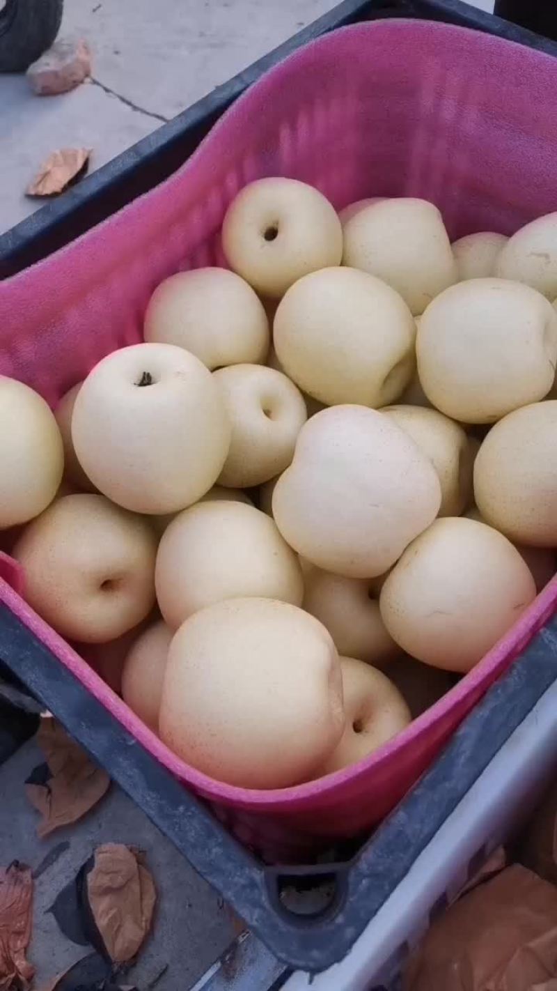 精品皇冠梨