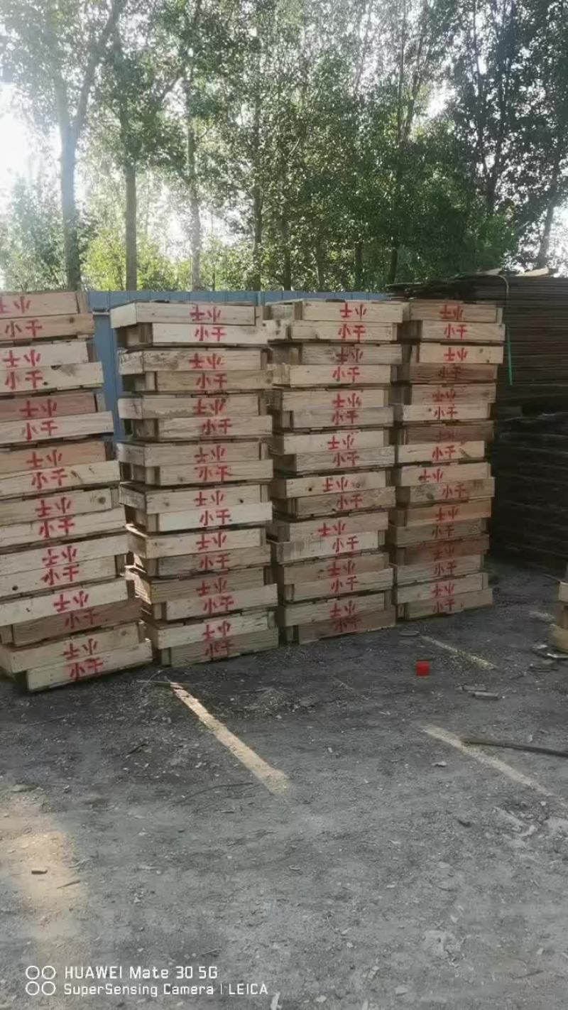 葡萄箱子