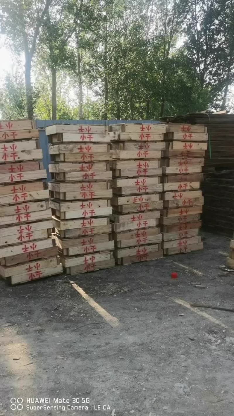 葡萄箱子
