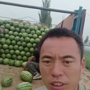 山西大地西瓜