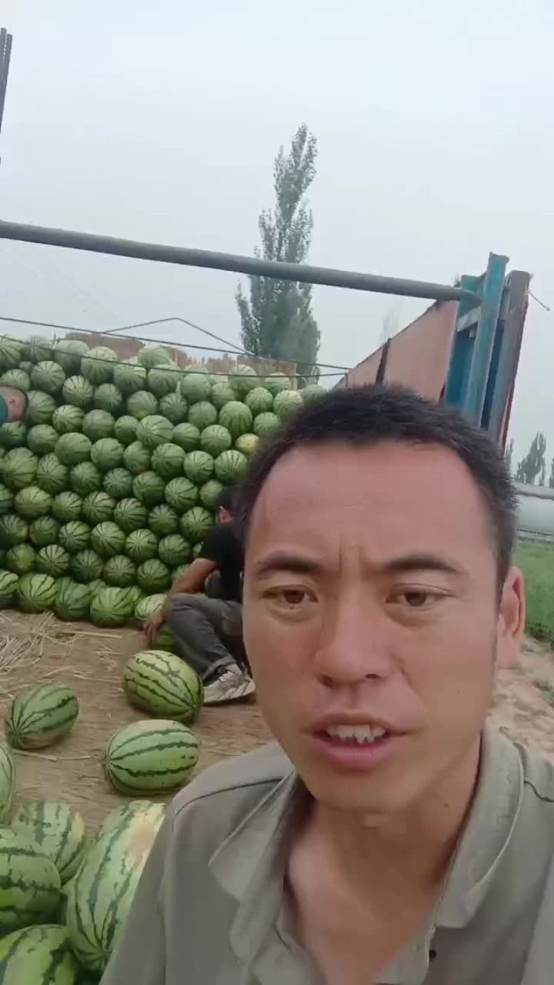 山西大地西瓜