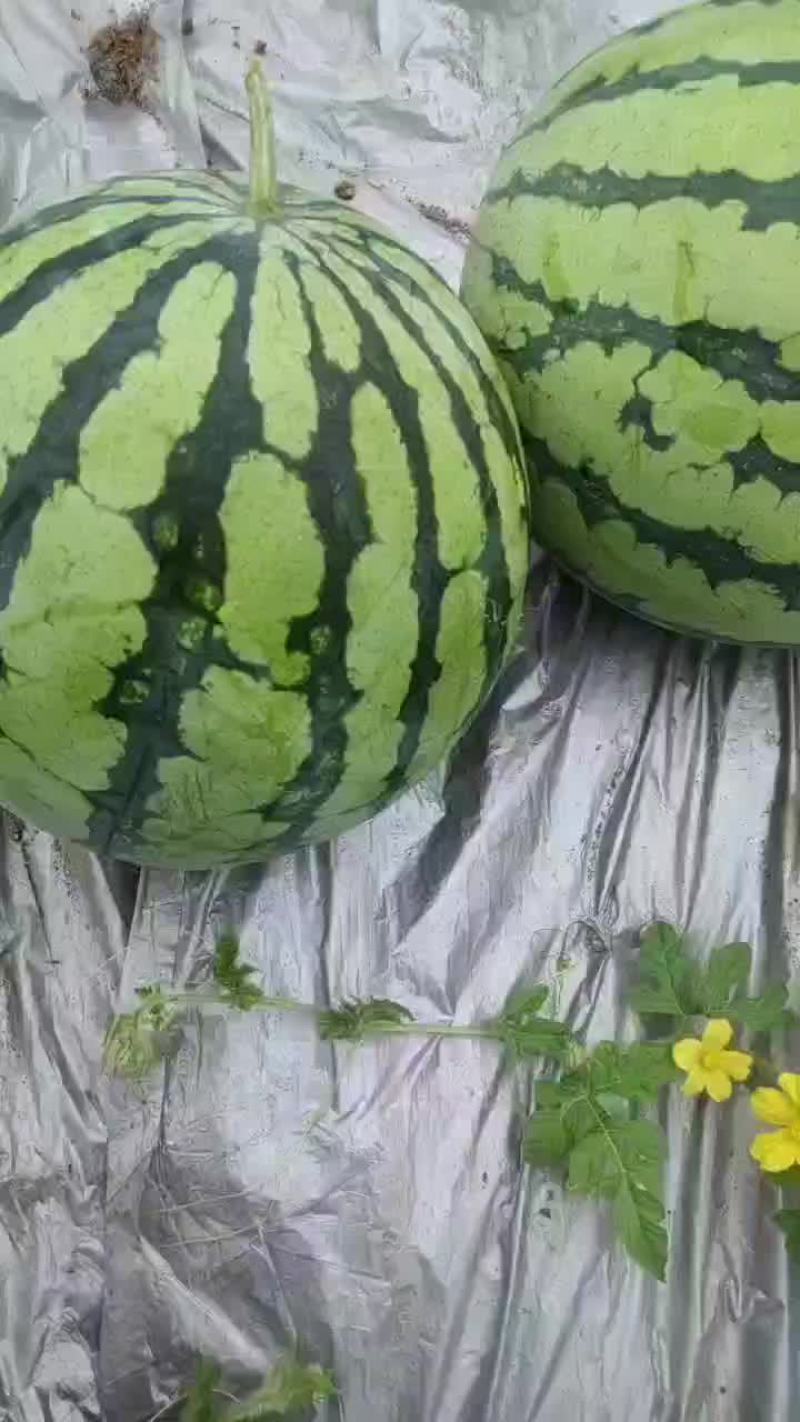 精品美都