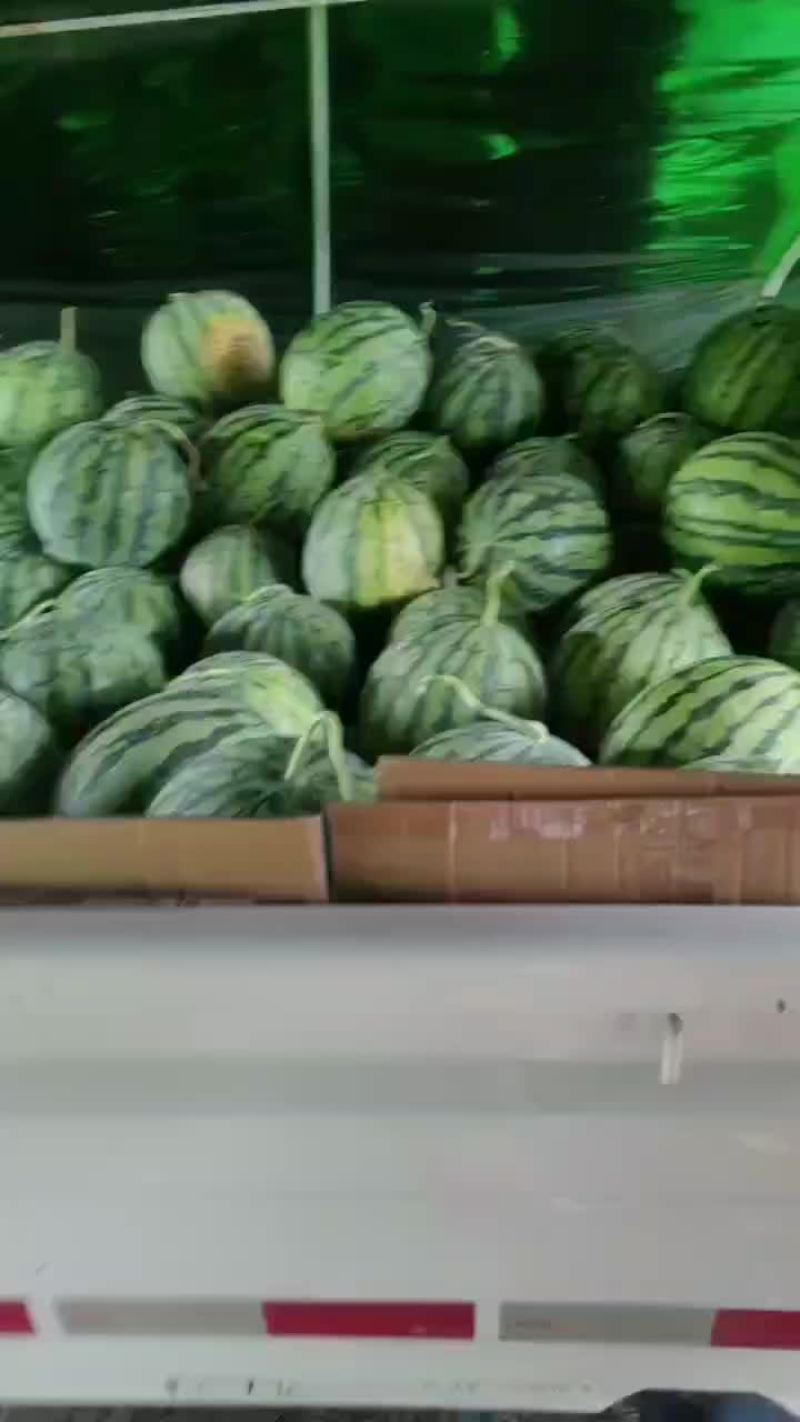 精品美都
