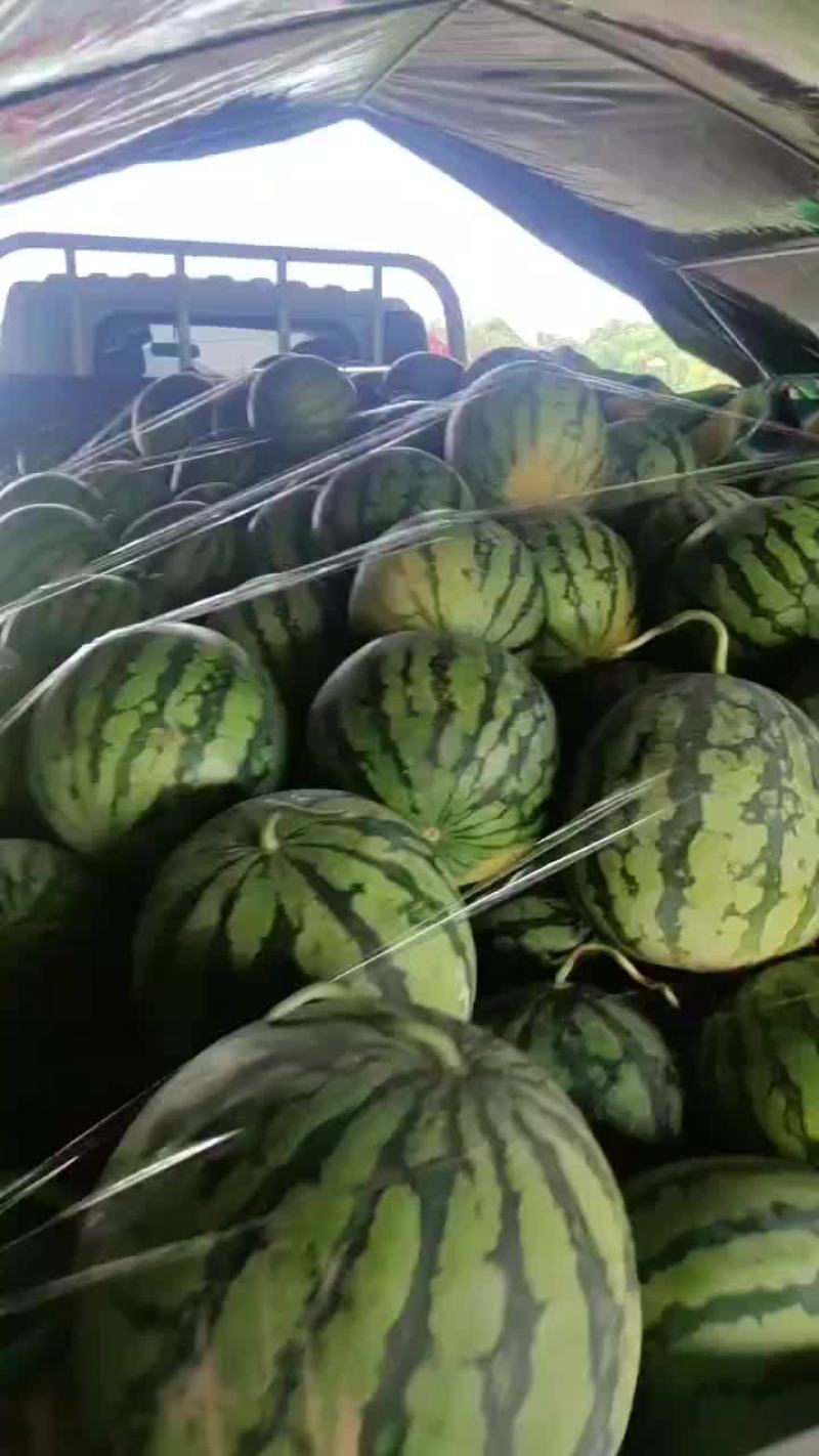 精品美都