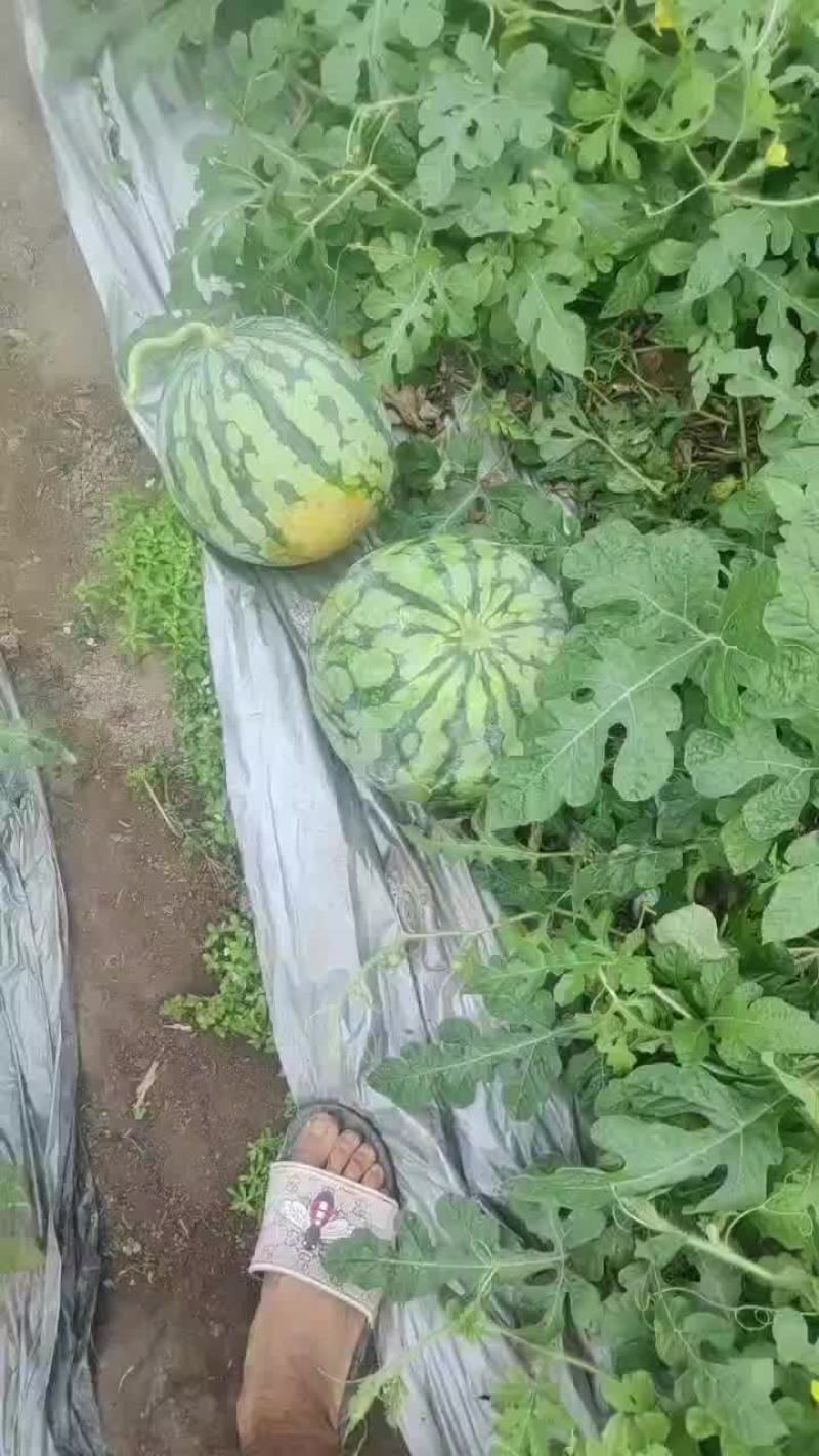 精品美都