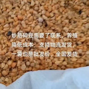 饲料豆