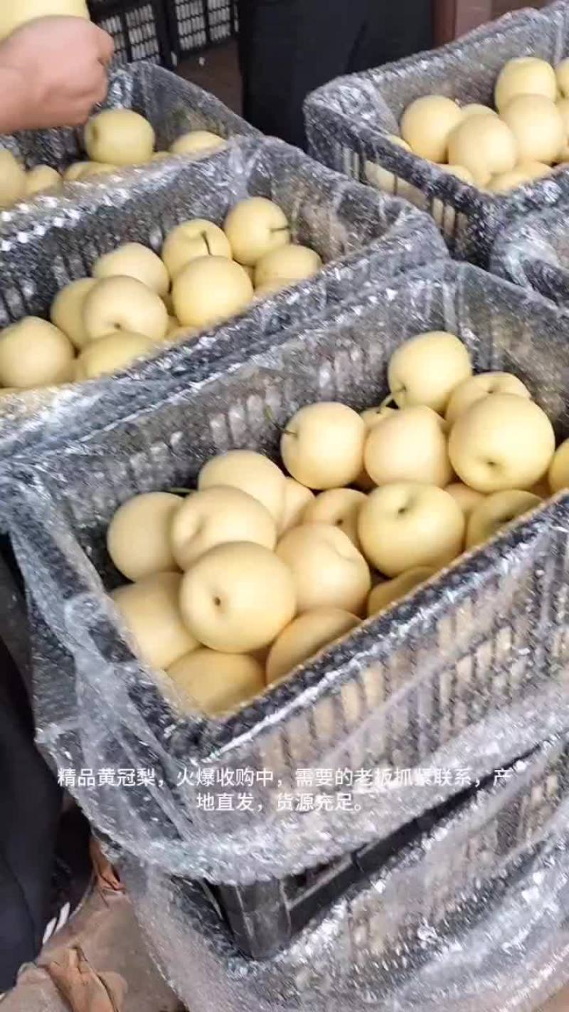 精品皇冠梨