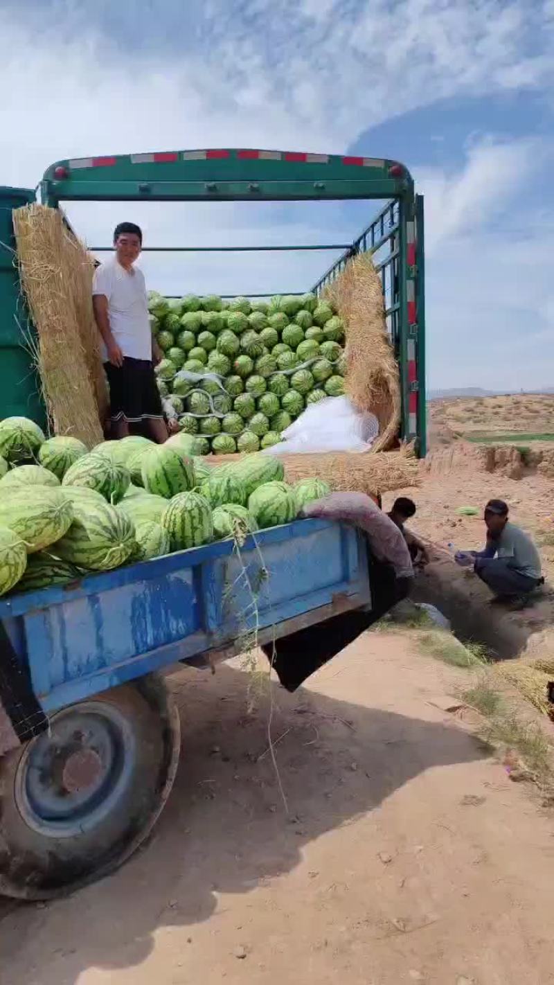 正宗石头瓜产地现摘现发品质保证诚信经营支持视频看货