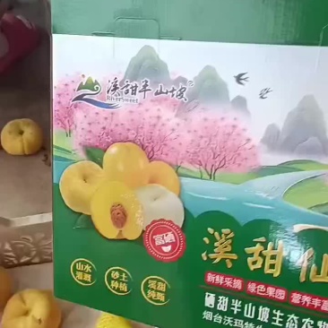 黄金蟠桃中蟠102
