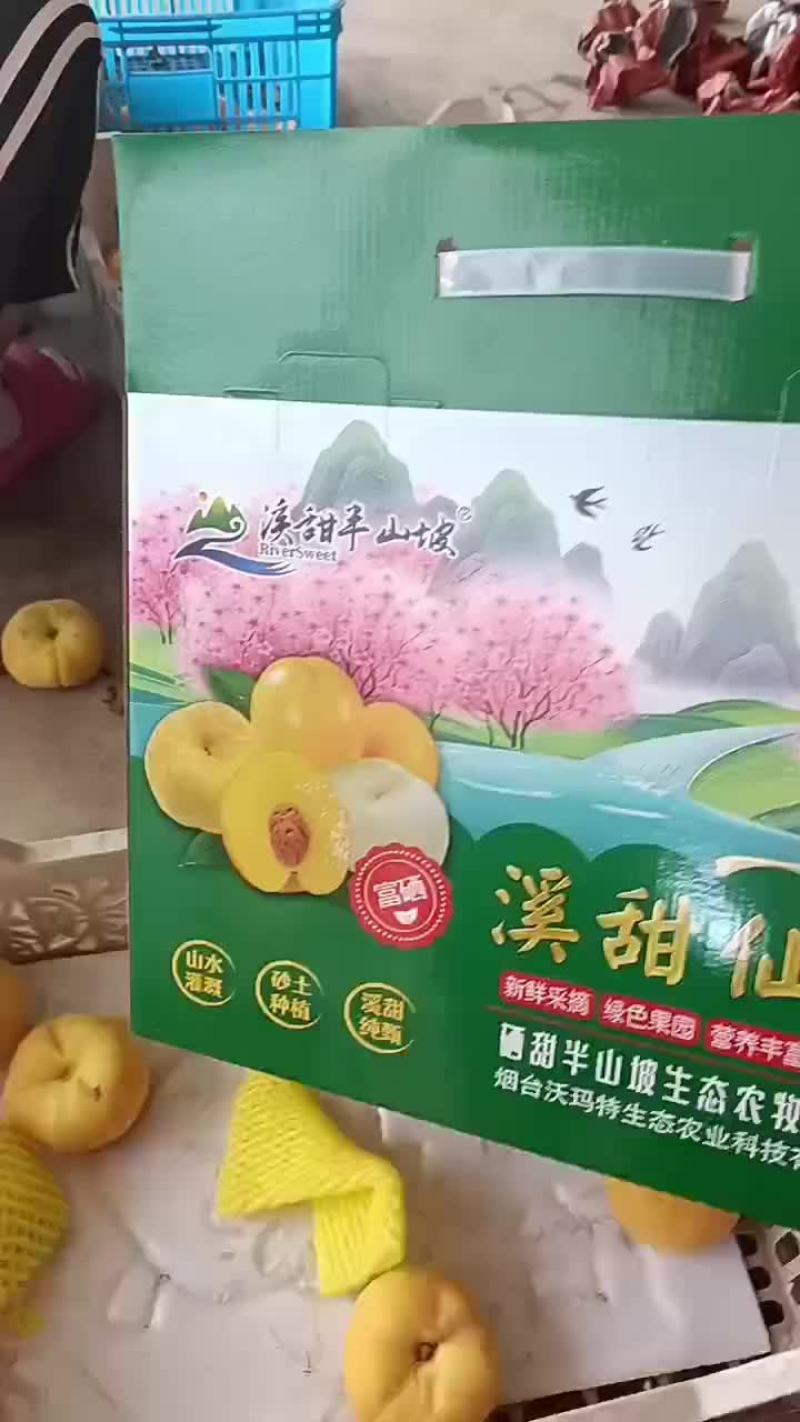 黄金蟠桃中蟠102