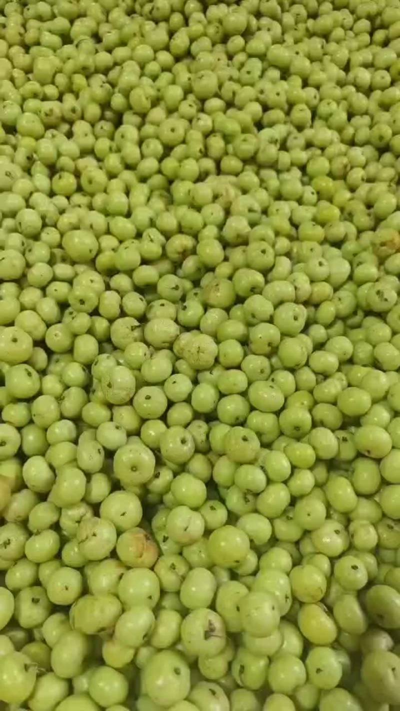 正枝饼甜上市