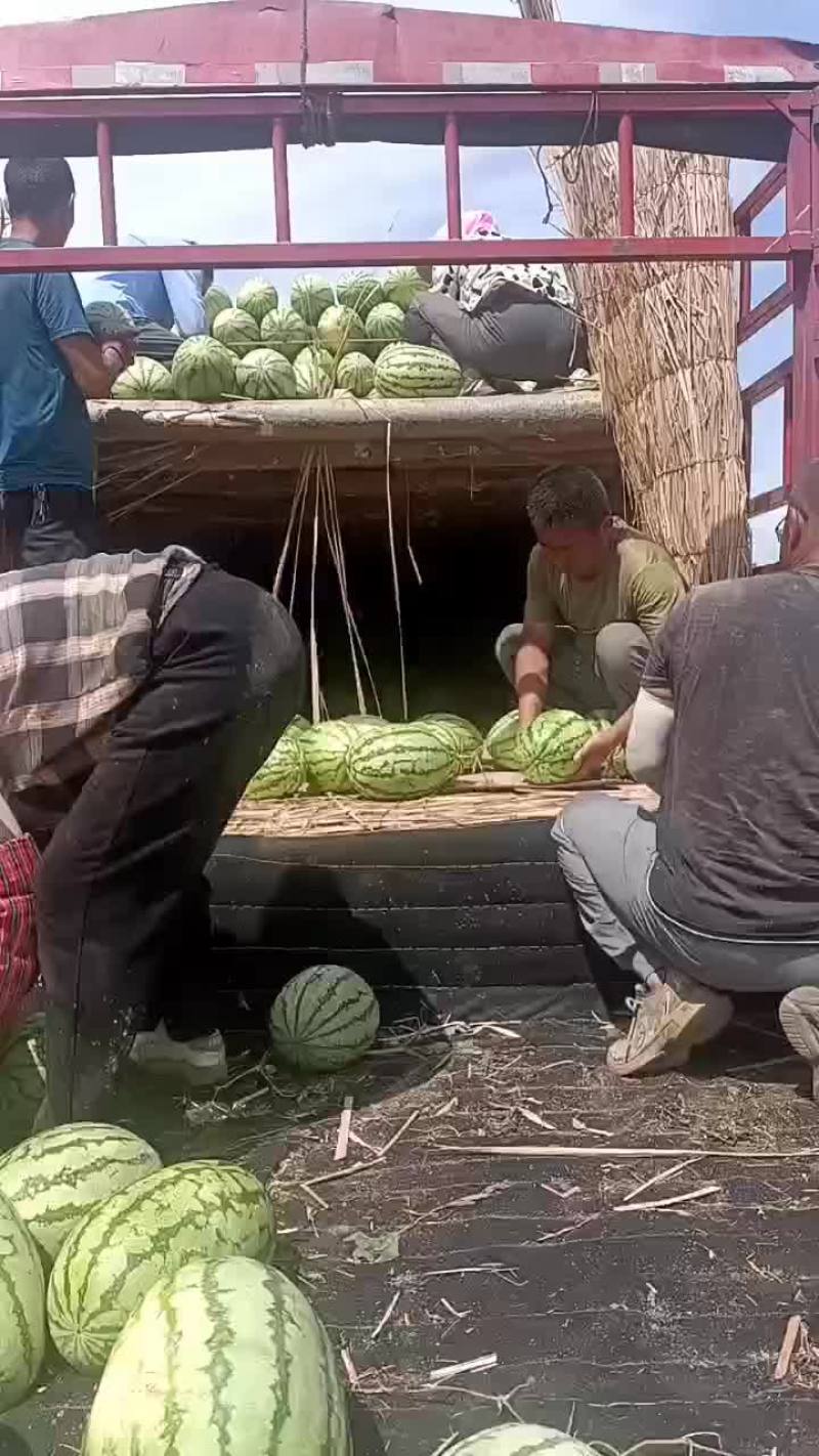 沙漠一号