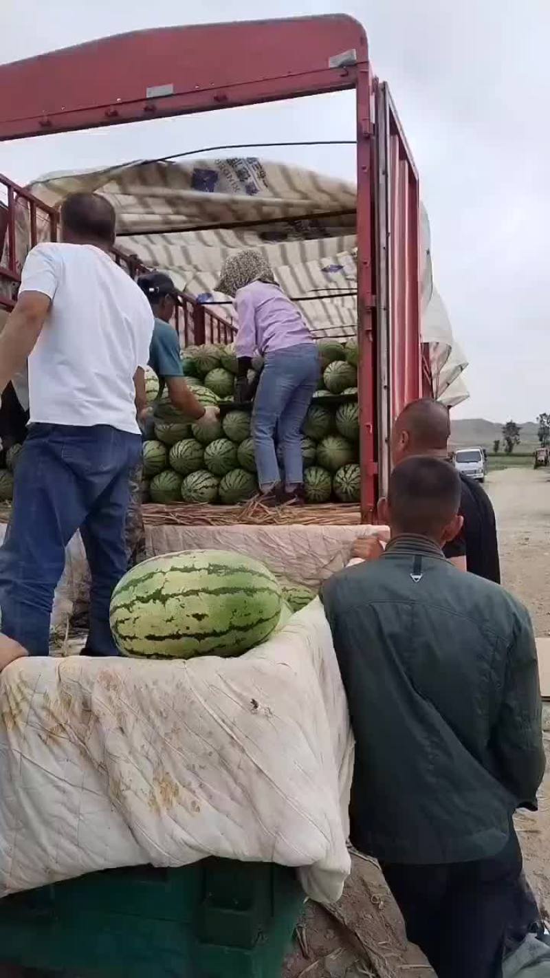 沙漠一号