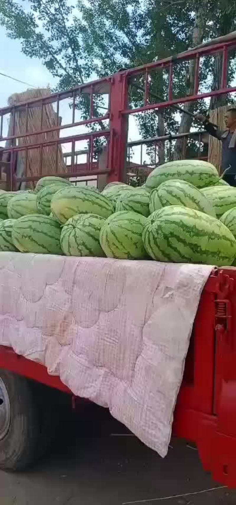 沙漠一号