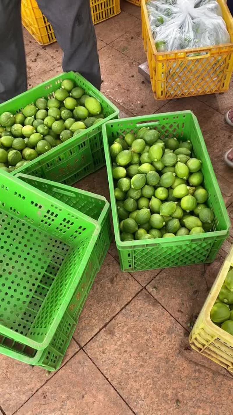 香水柠檬