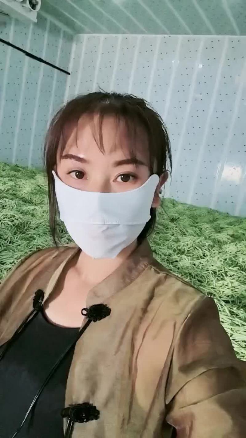 精品大白条