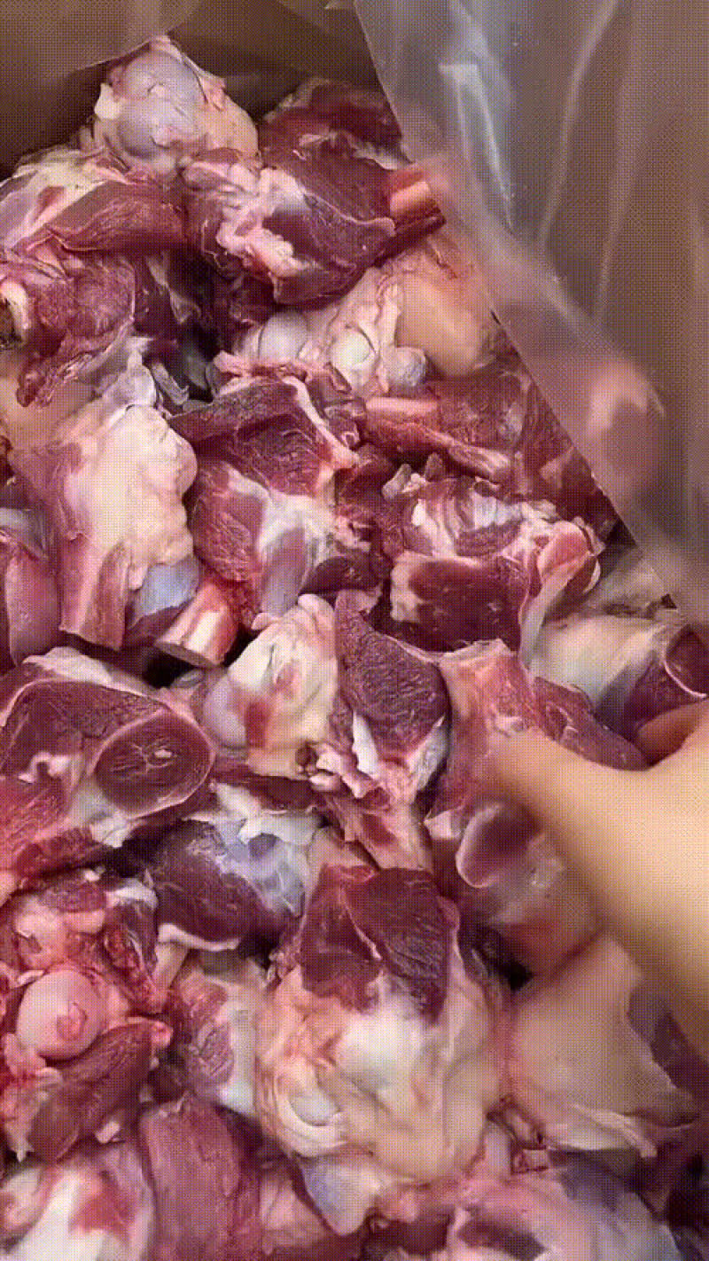 加肉羊棒骨火锅店自助餐厅。电商专用