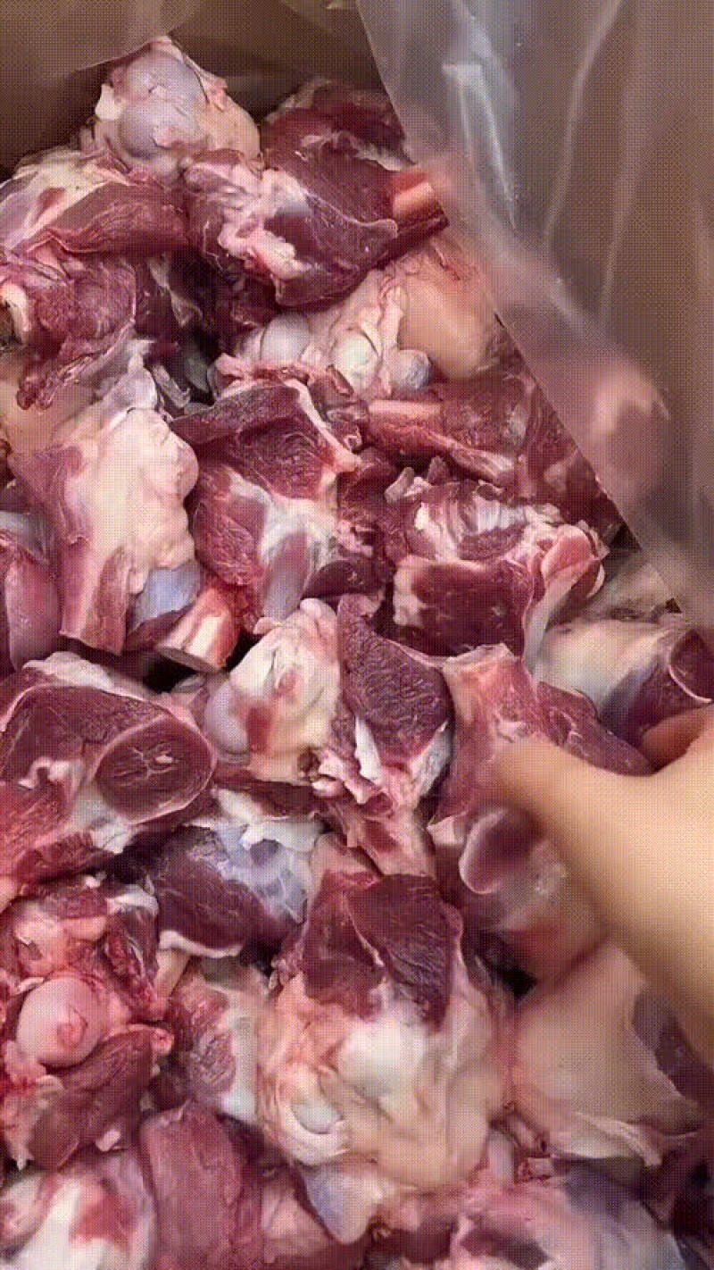 加肉羊棒骨火锅店自助餐厅。电商专用