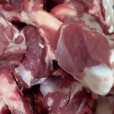 加肉羊棒骨火锅店自助餐厅。电商专用