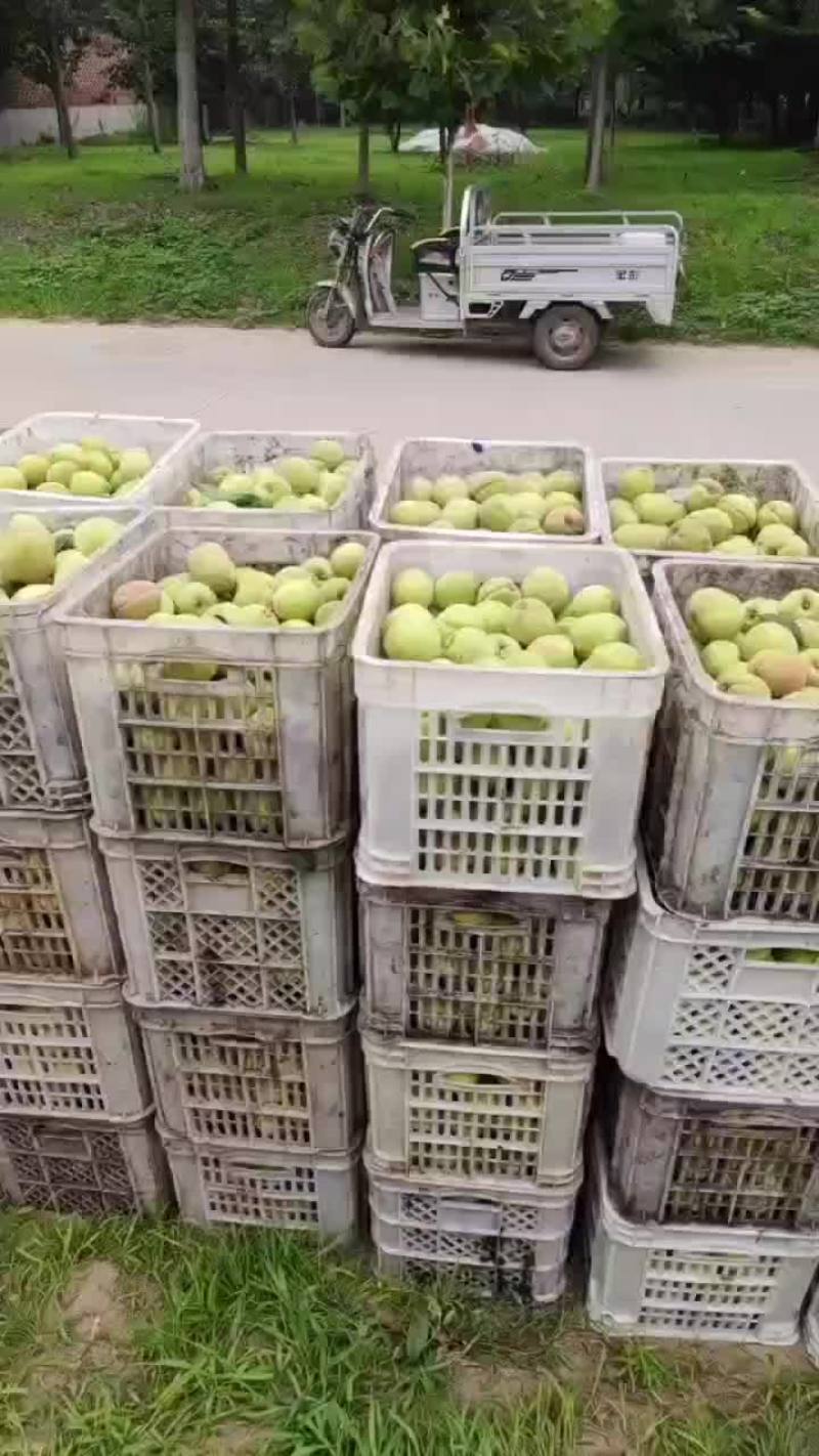 桃