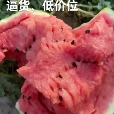 美都西瓜