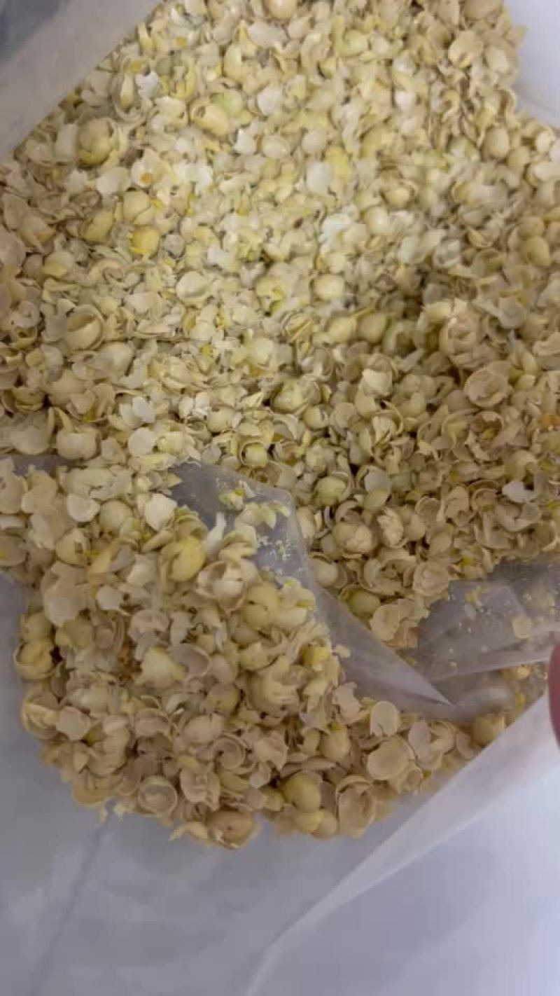黄豆皮
