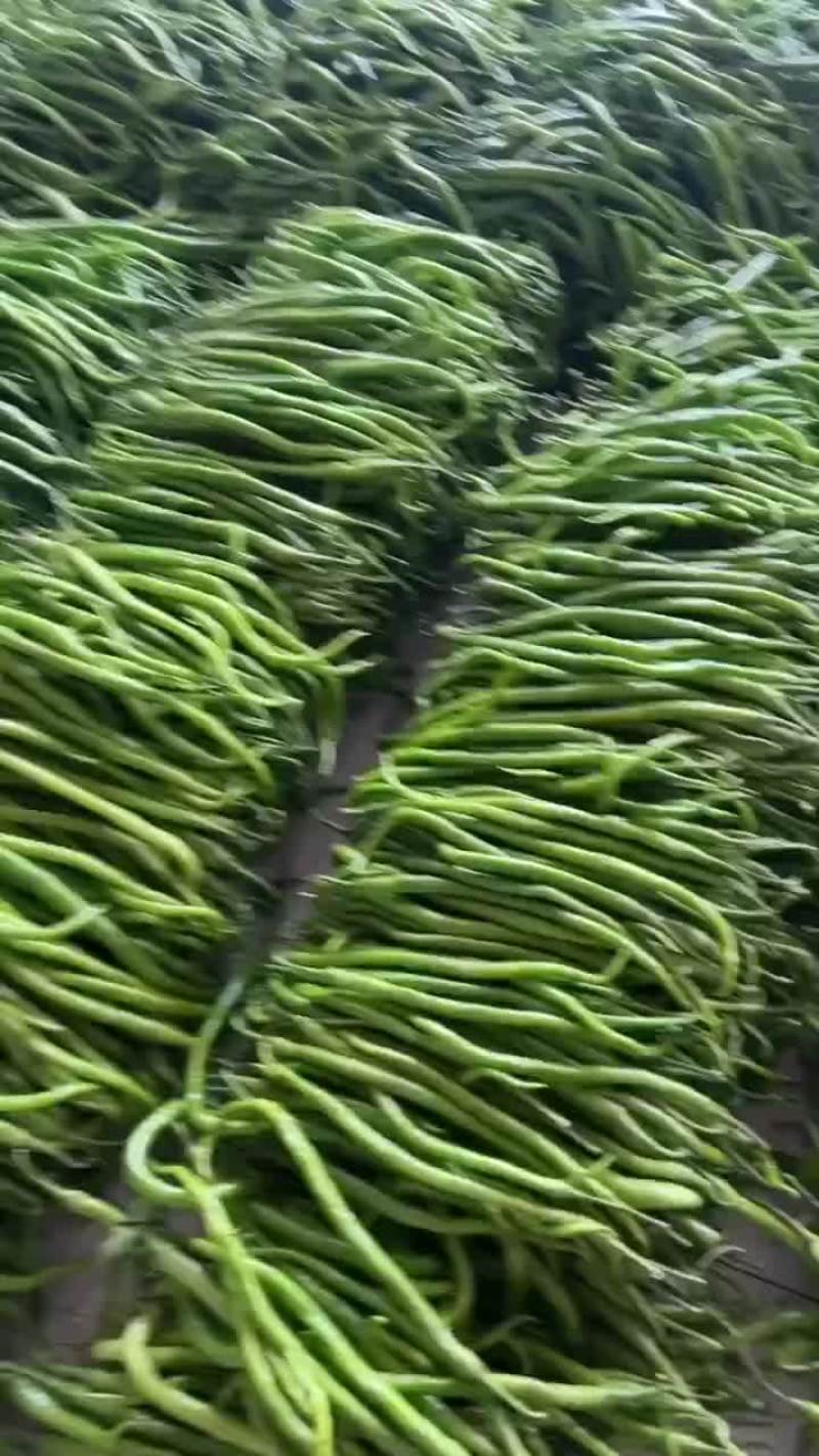 各位老板，有需要的联系我