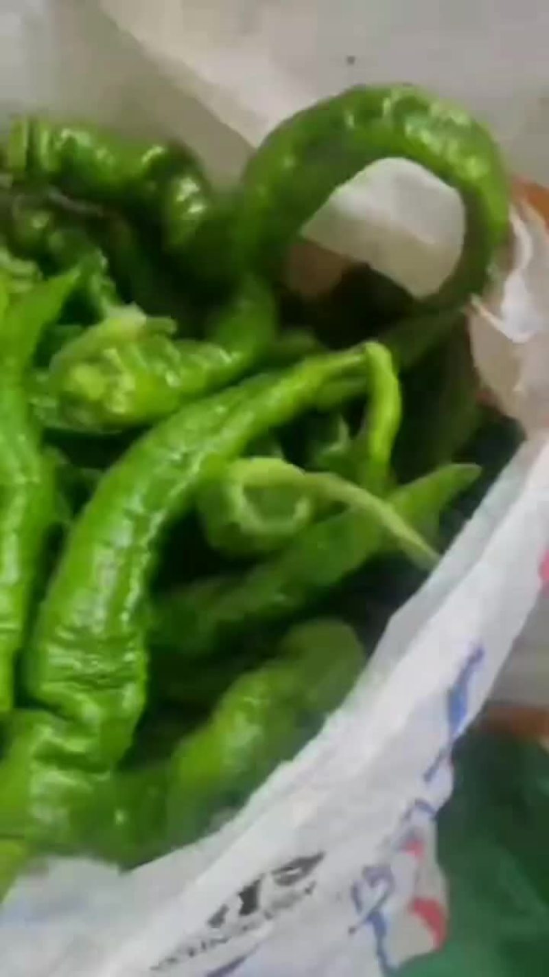 大田陇椒