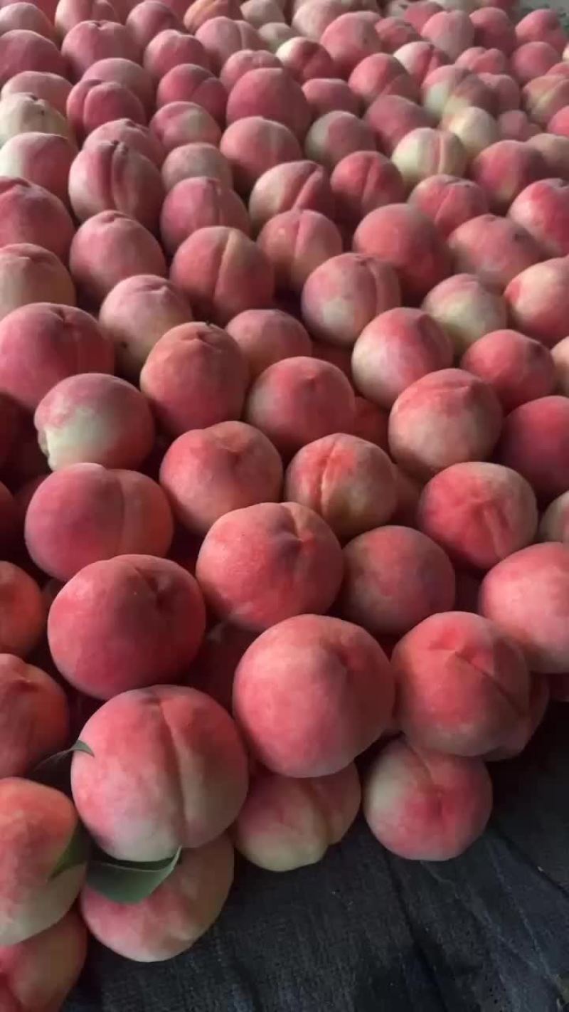 大久保！大久保掉价了，
