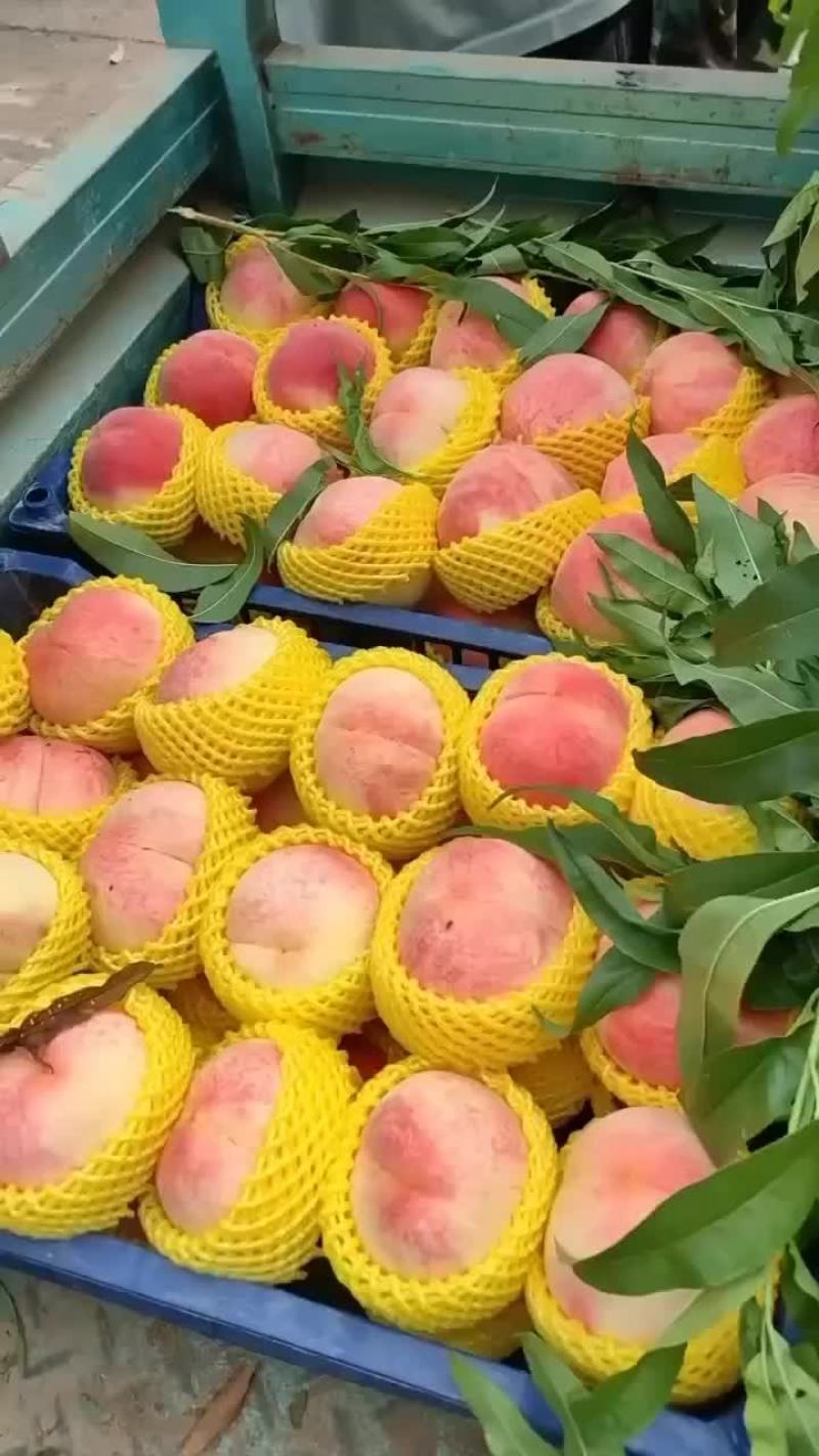 大量有货需要的老板联系