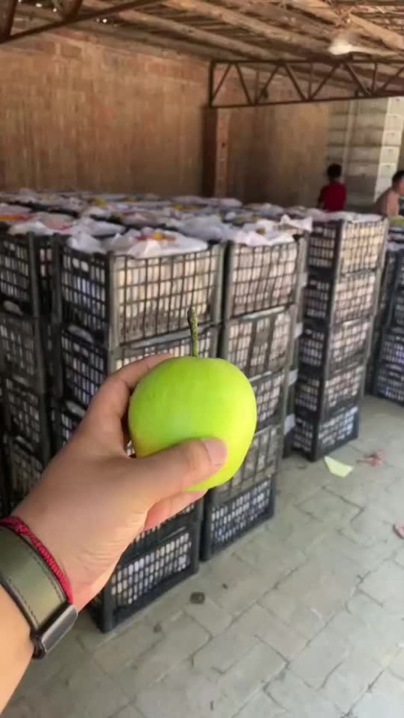 蜡纸袋皇冠梨。适合超市，批发，电商市场，欢迎客户随时联系