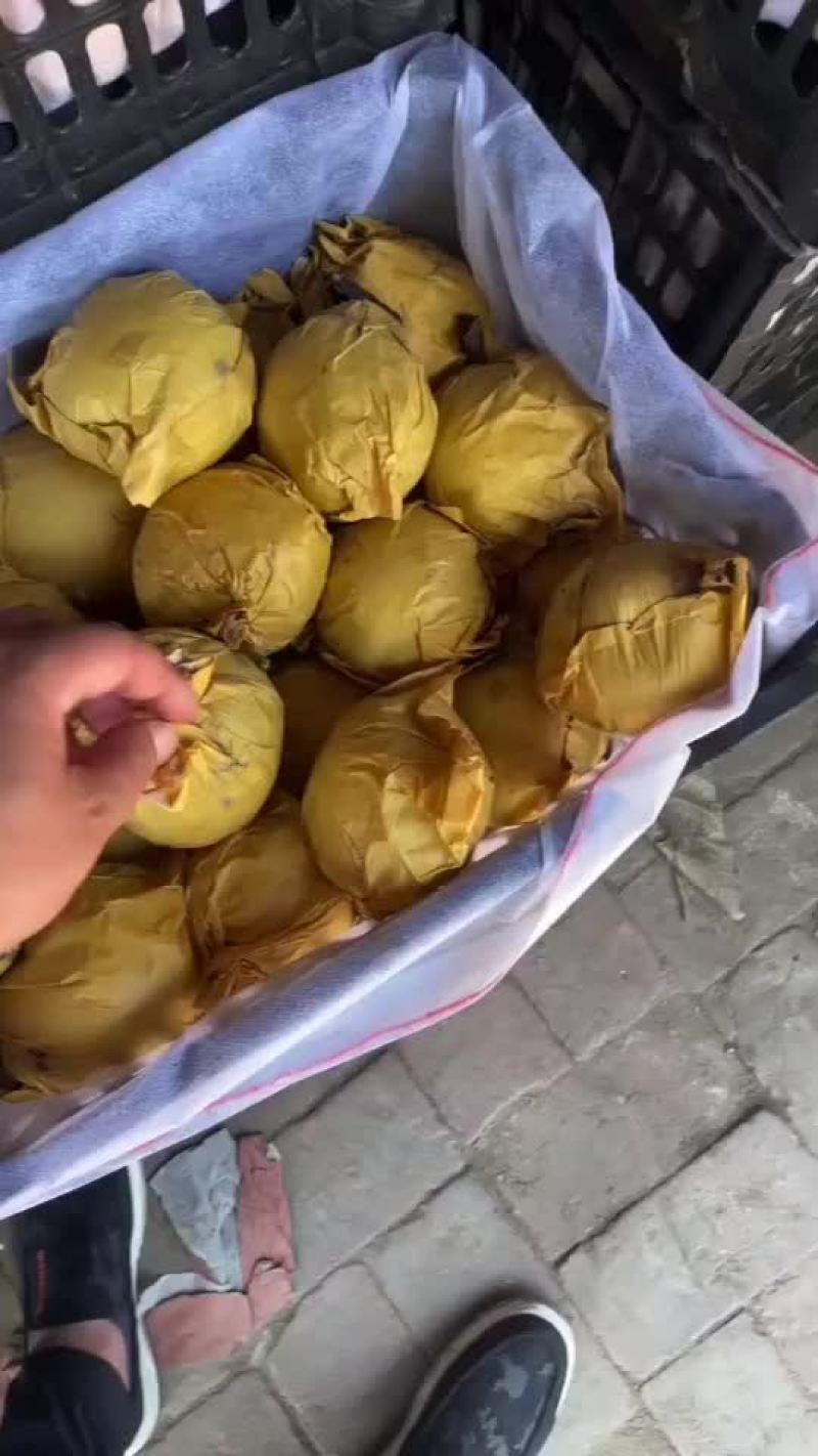 蜡纸袋皇冠梨。适合超市，批发，电商市场，欢迎客户随时联系