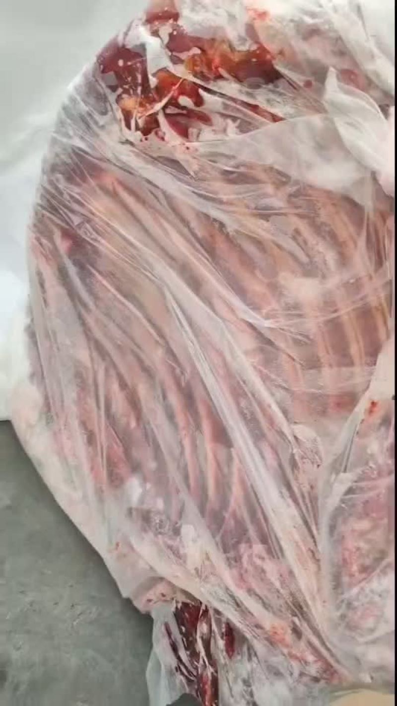 新鲜排