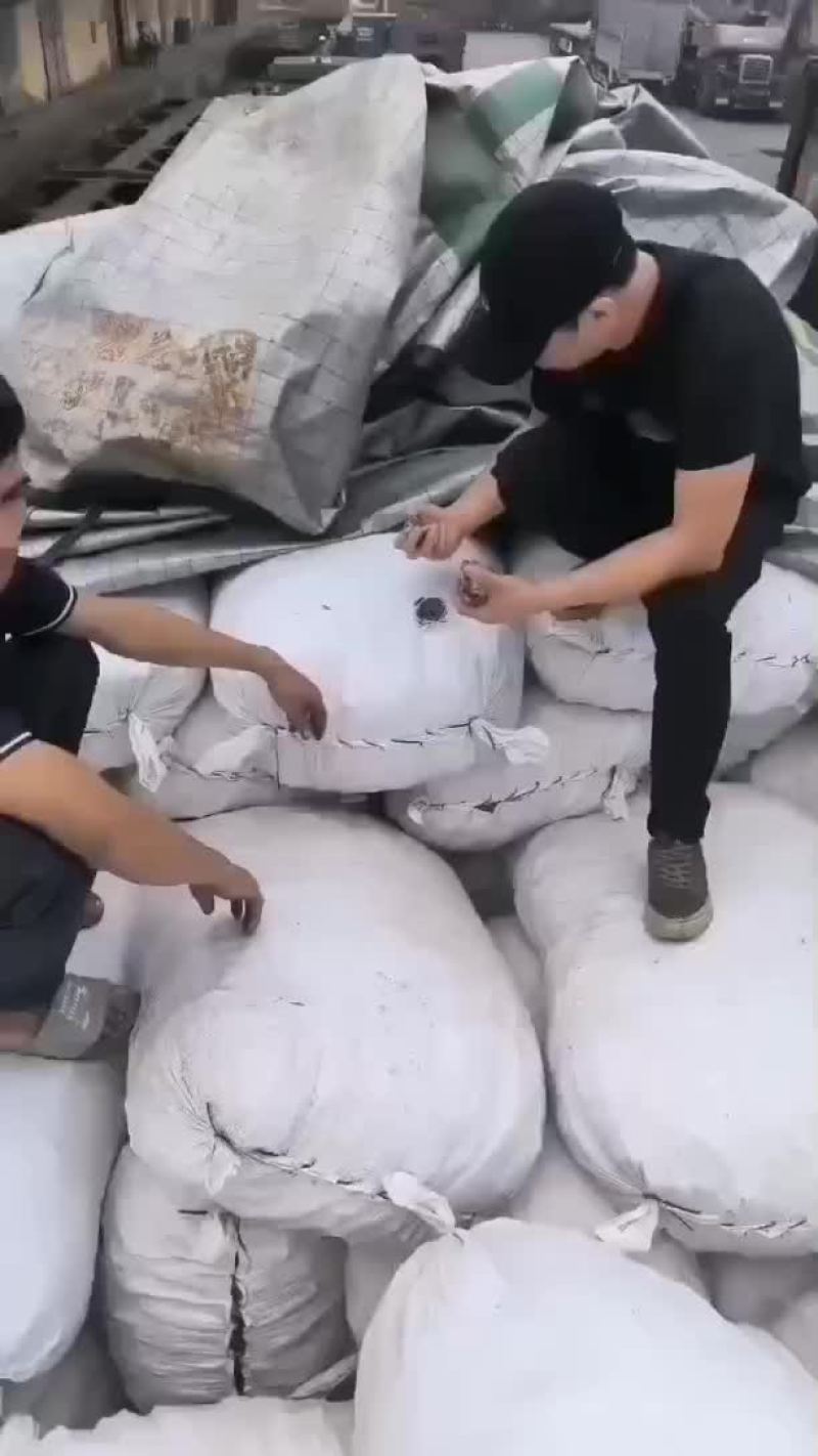 狗脊