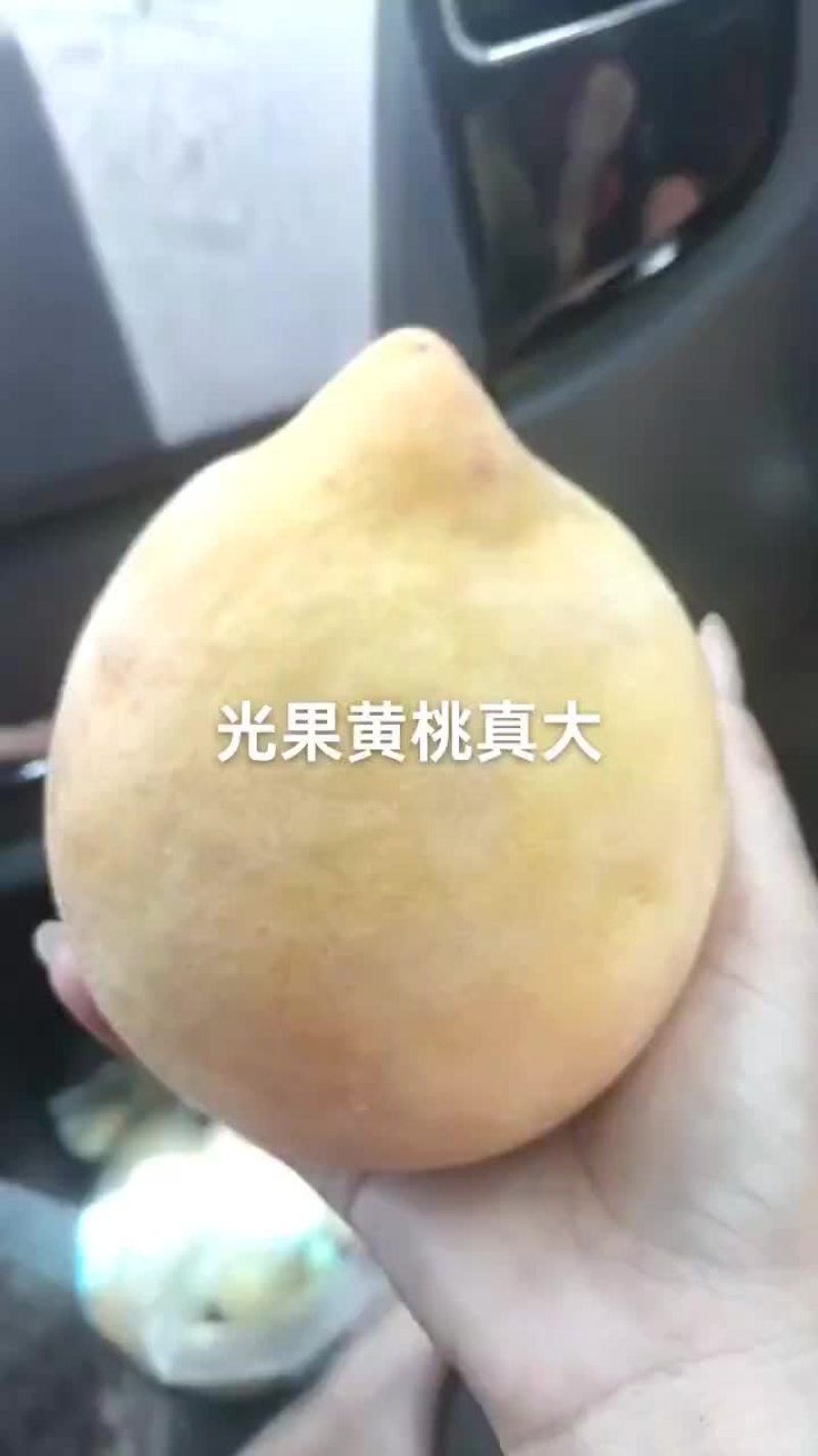 你们见过多少一个一斤多黄桃吗？看着就想要