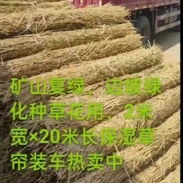 绿化草帘矿山修复草帘