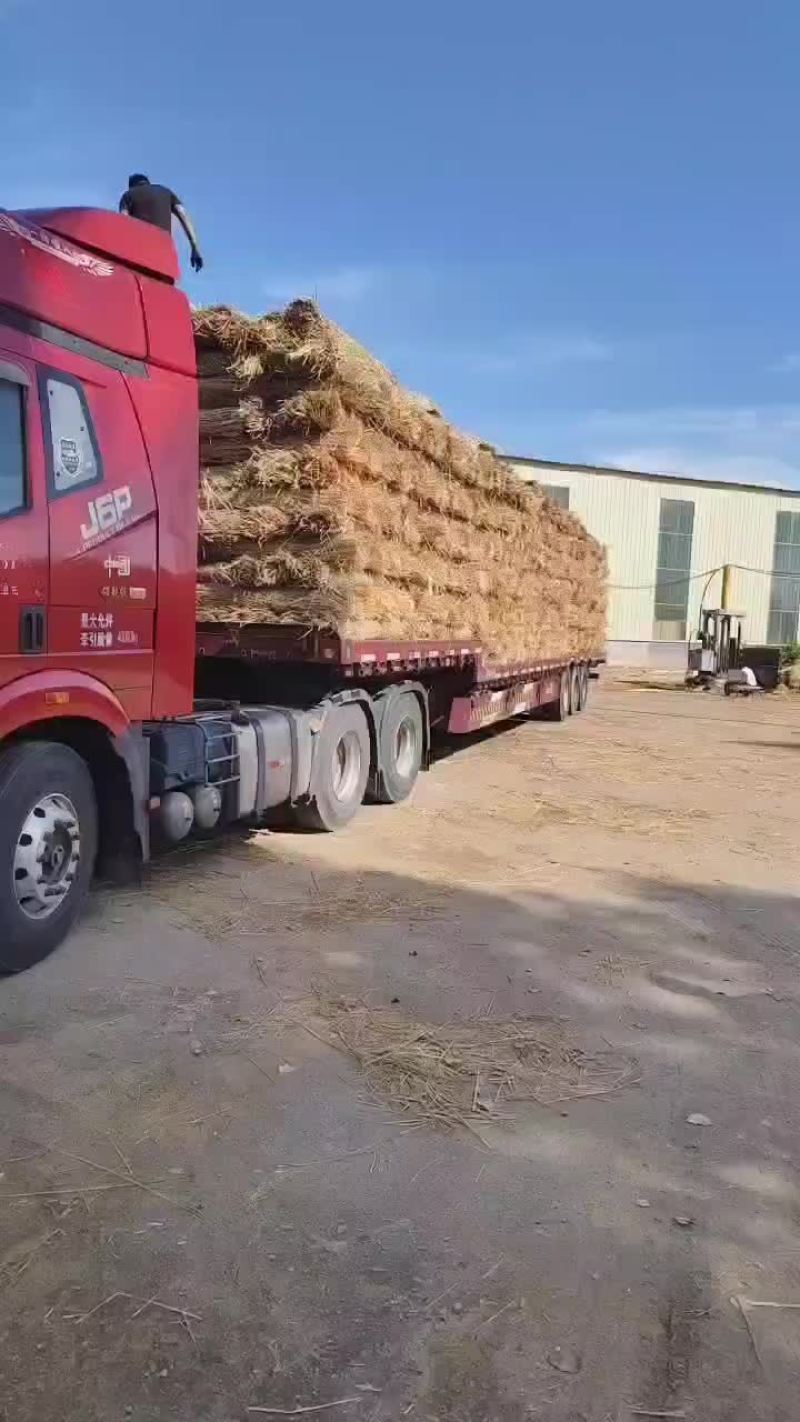 绿化草帘矿山修复草帘