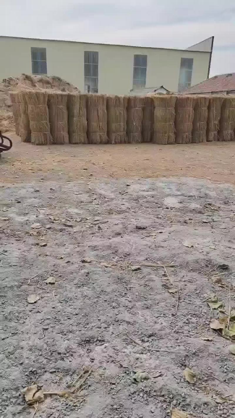 绿化草帘矿山修复草帘