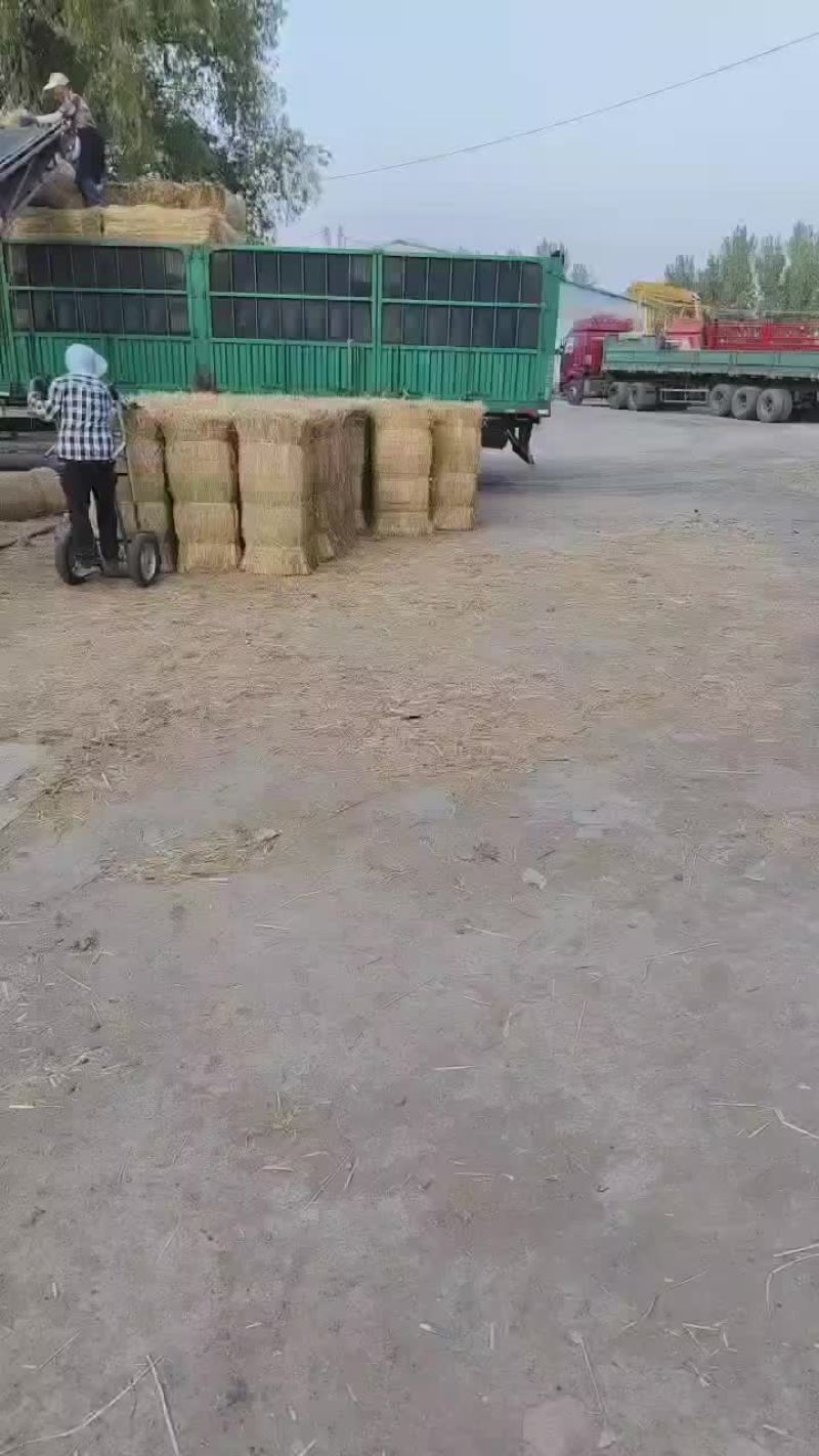 绿化草帘矿山修复草帘