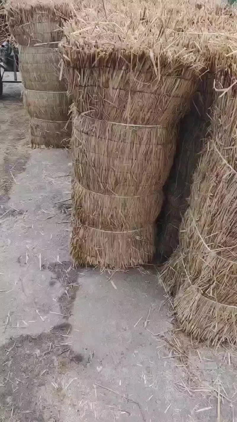 绿化草帘矿山修复草帘