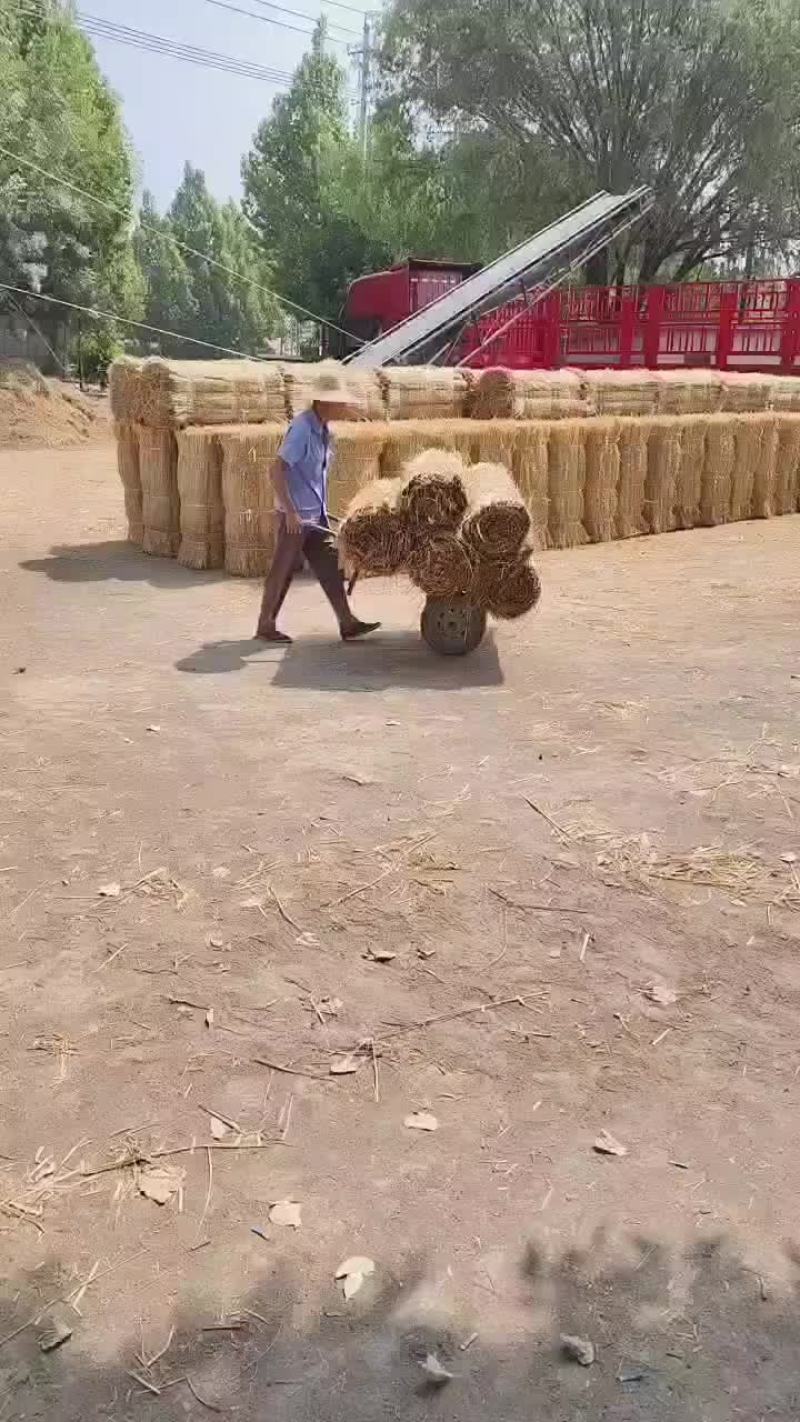 绿化草帘矿山修复草帘