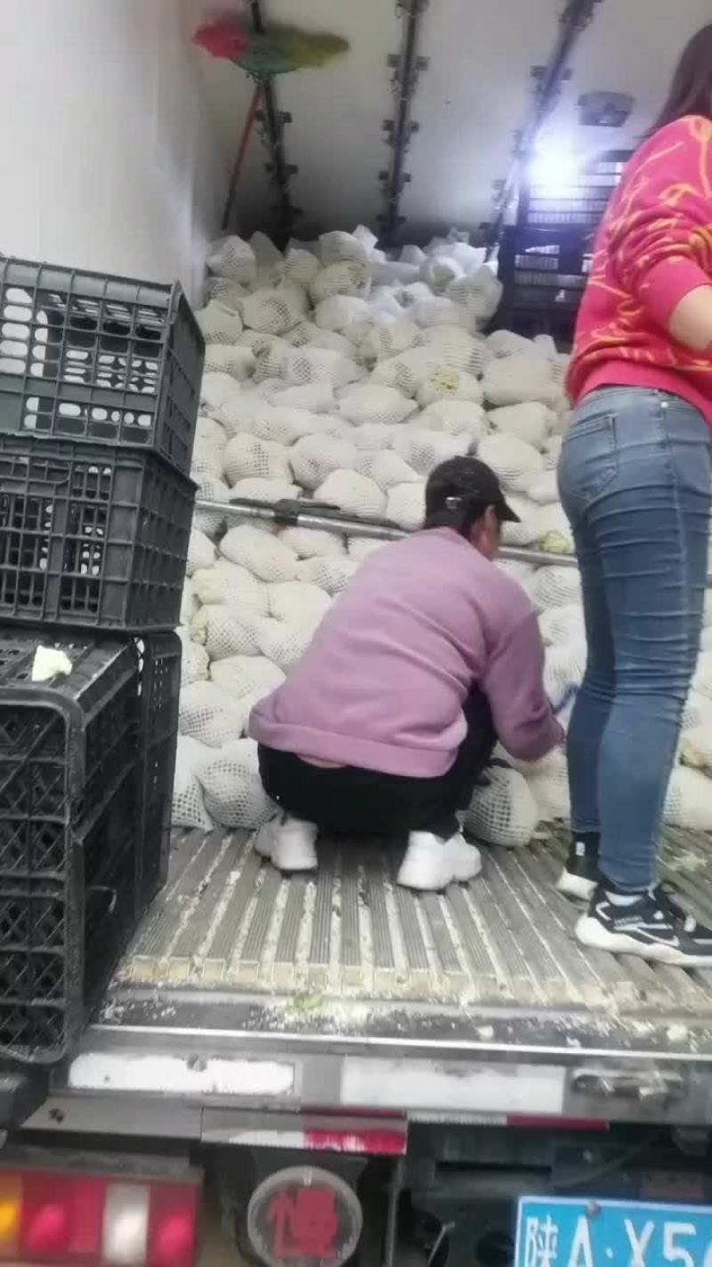 有机散花大量上市
