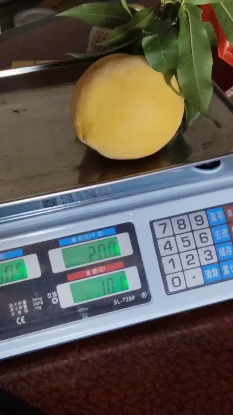 炎陵黄桃产区一手货源保质保量供货批发零售