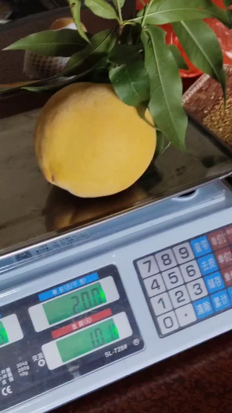 炎陵黄桃产区一手货源保质保量供货批发零售