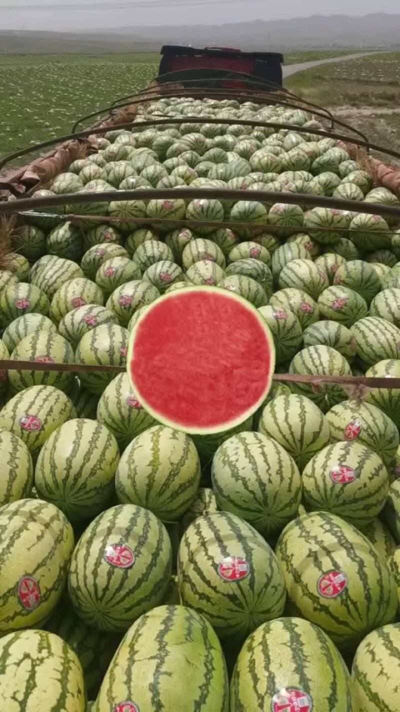 宁夏石头硒砂瓜精品西瓜欢迎各位老板联系货量春足