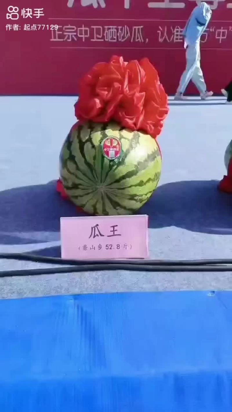 宁夏石头硒砂瓜精品西瓜欢迎各位老板联系货量春足